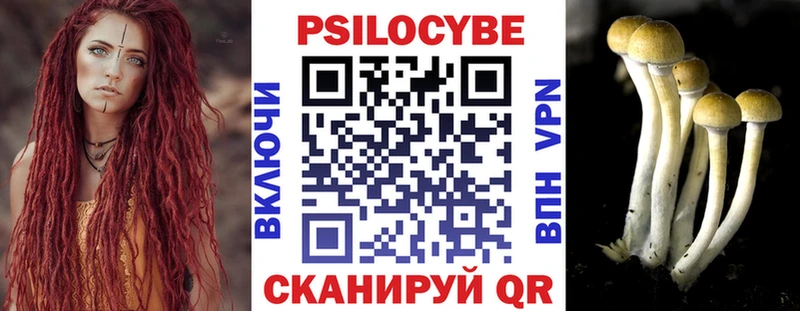 нарко площадка состав  Нижний Ломов  Галлюциногенные грибы Cubensis 